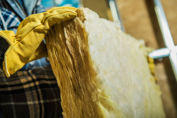 Best Insulation for New Construction  in Ives Estates, FL